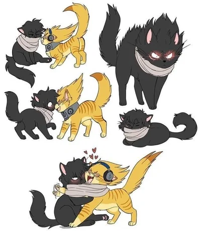 Aizawa y Hizashi cat