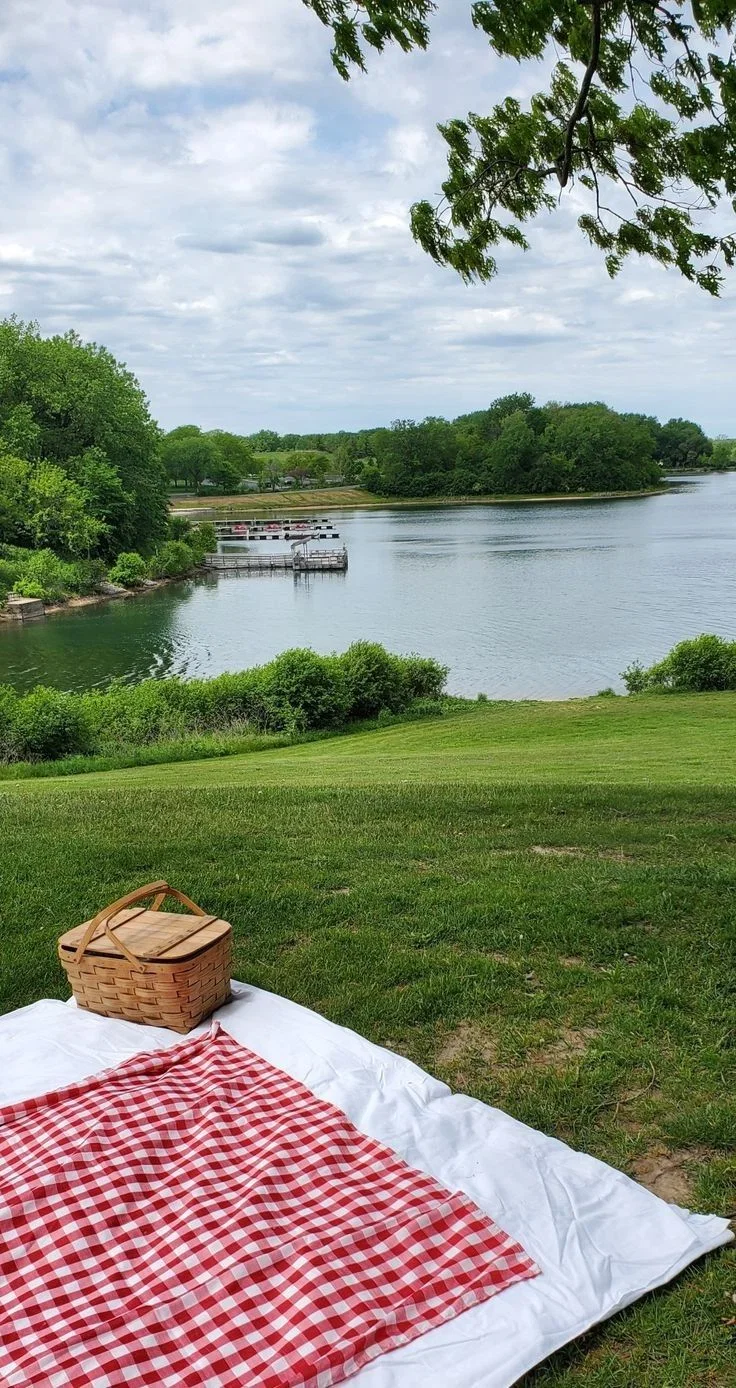 Nexus | Picnic