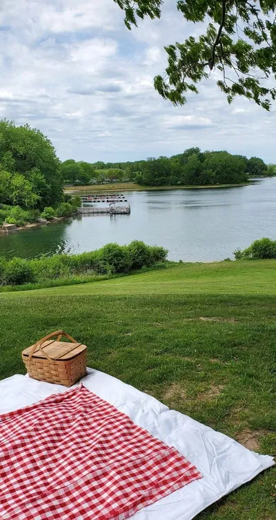 Nexus | Picnic