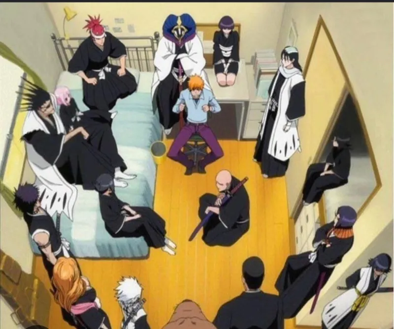 Gotei 13 ichigo room.