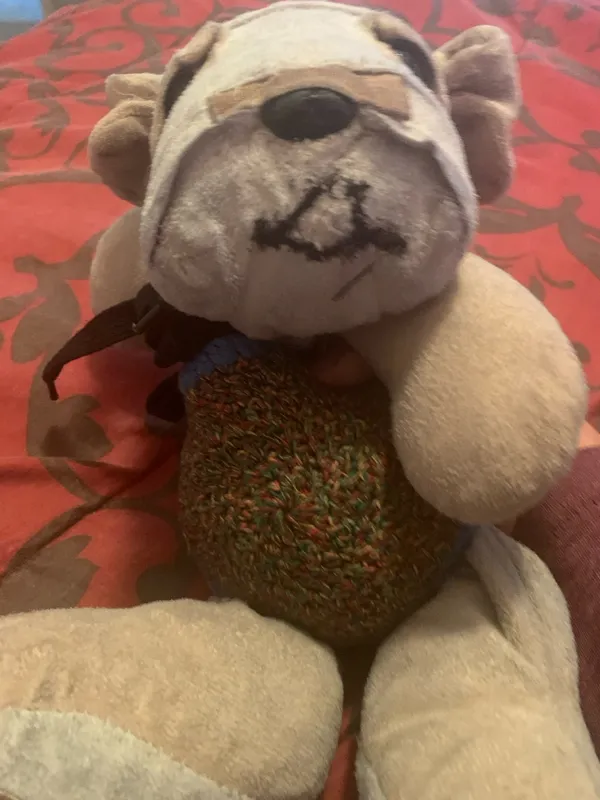 Bau your  plushie assistant plush 