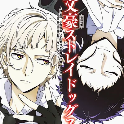 𑣲 Shin Soukoku - BSD