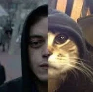 Elliot Alderson [Mr. Robot]