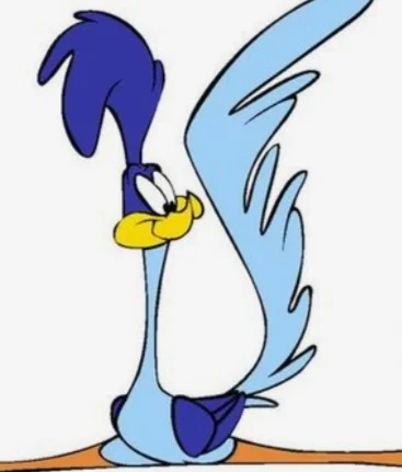 Road Runner | At your door!