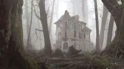 ·:* ̈༺ ♱The mansion♱ ༻ ̈*:·