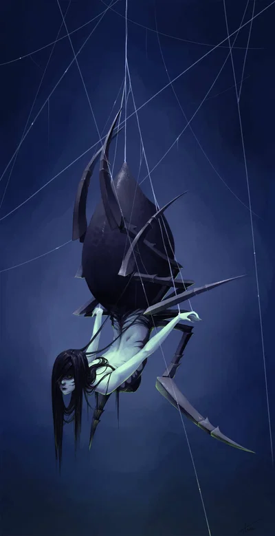 Spider TG TF