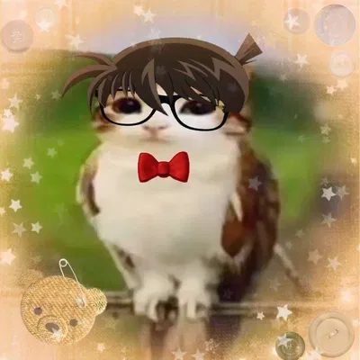 Edogawa Conan