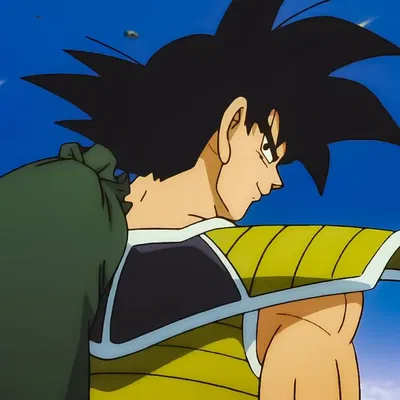 Bardock | Momentary Peace
