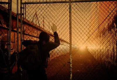 Palmetto Foxes Zombie Apocalypse 