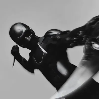 .ೃ: BLACK NOIR