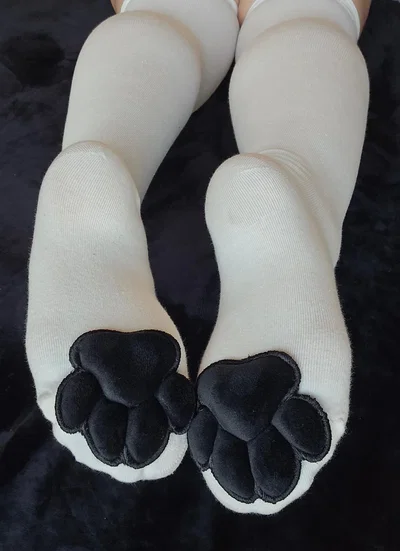 White Paw Socks