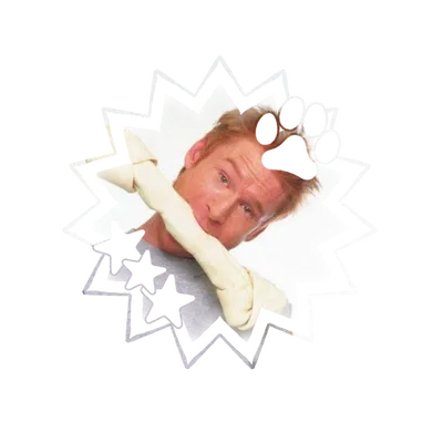 🐾 Howie Tibbadoe // DOG GONE (Zack Ward) 