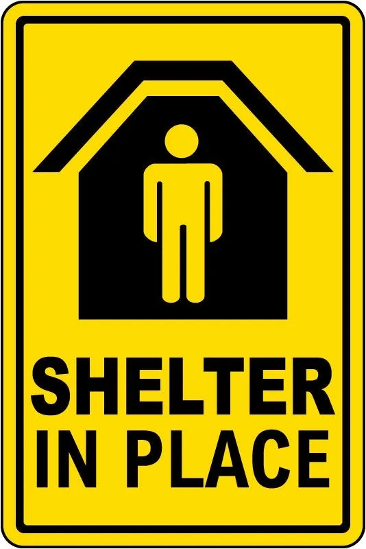 The mutt rescue shelter 