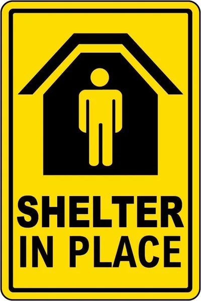 The mutt rescue shelter 