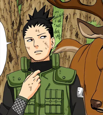 ◎ Shikamaru Nara ◎