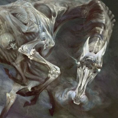 · ̊ ༘+· ͟͟͞͞꒰➳the white horse+*:ꔫ:*<