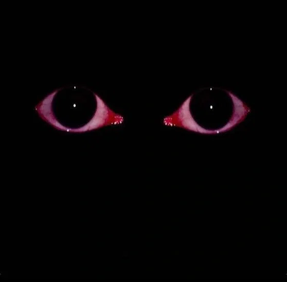 You look in your closet to find someone in it