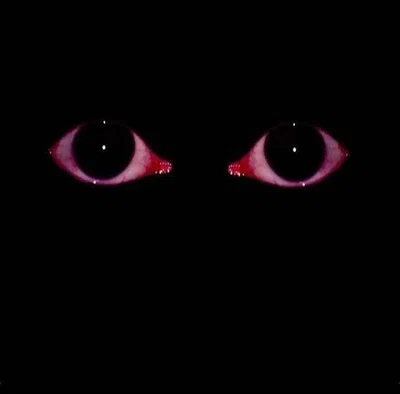 You look in your closet to find someone in it