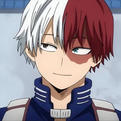 Shoto Todoroki 