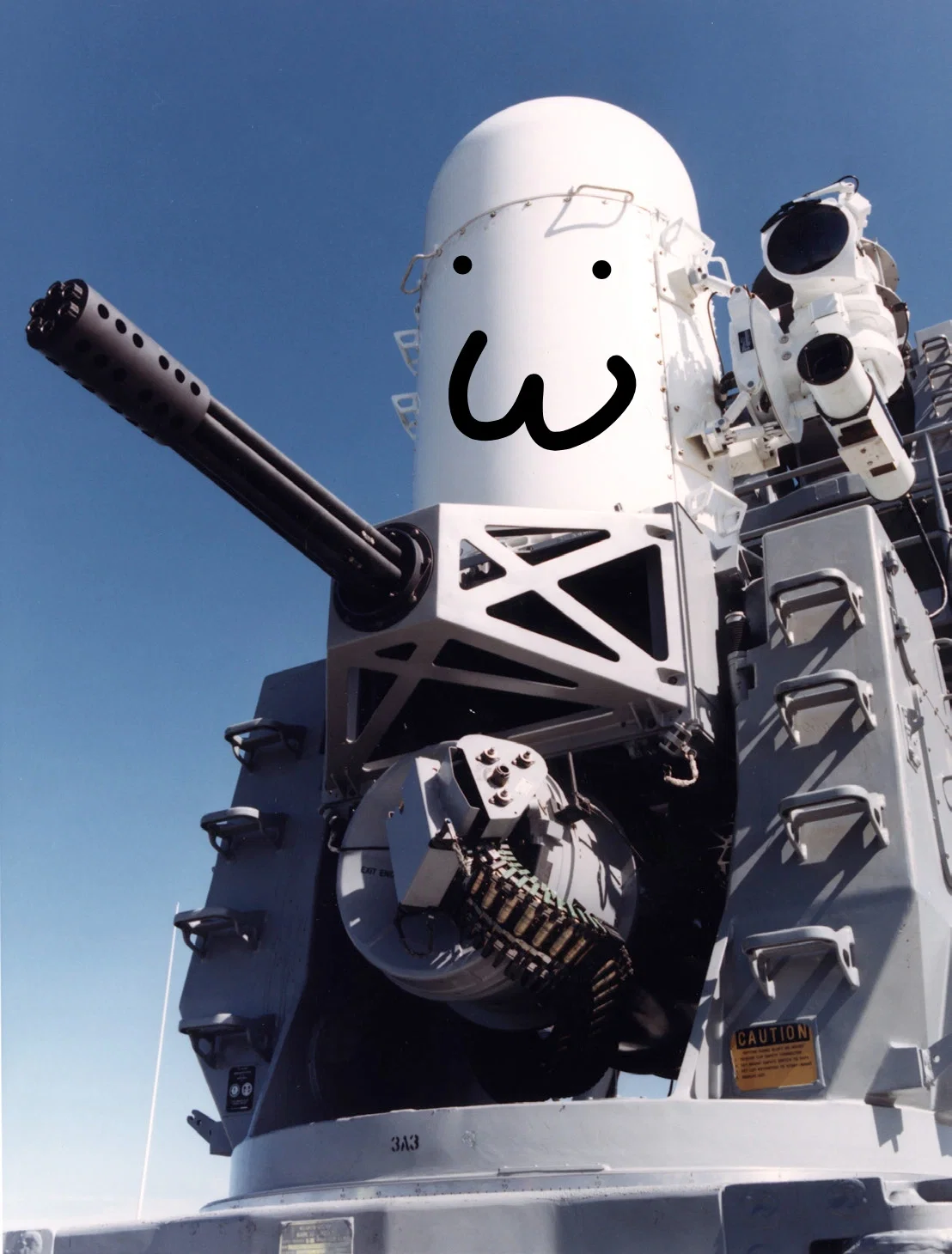 Completely and mentally stable CIWS