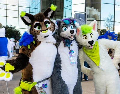 -Furry convention-
