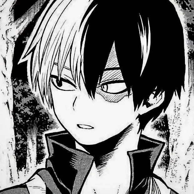 Shoto Todoroki