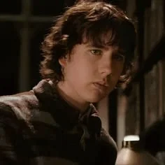 Neville Longbottom⚘.⋆ ̊࿔