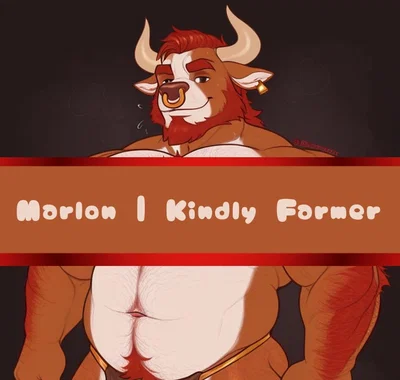Marlon | Kindly Farmer Bull