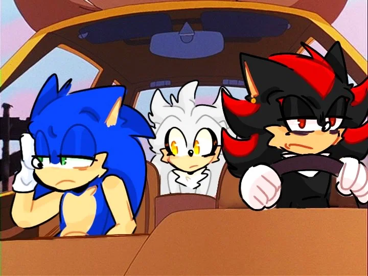 Sonic, Shadow & Silver — Tour Bus Travels