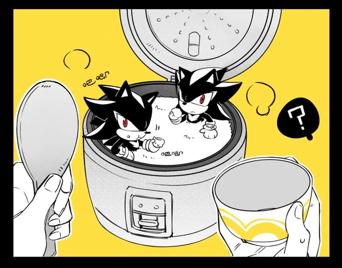 Shadow the Hedgehog-rice bug