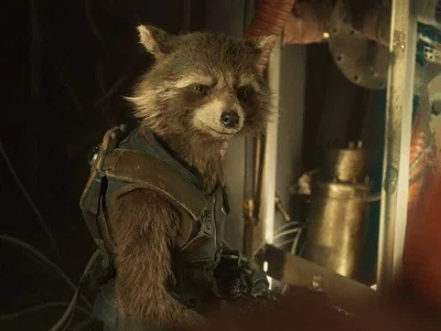 Rocket Racoon