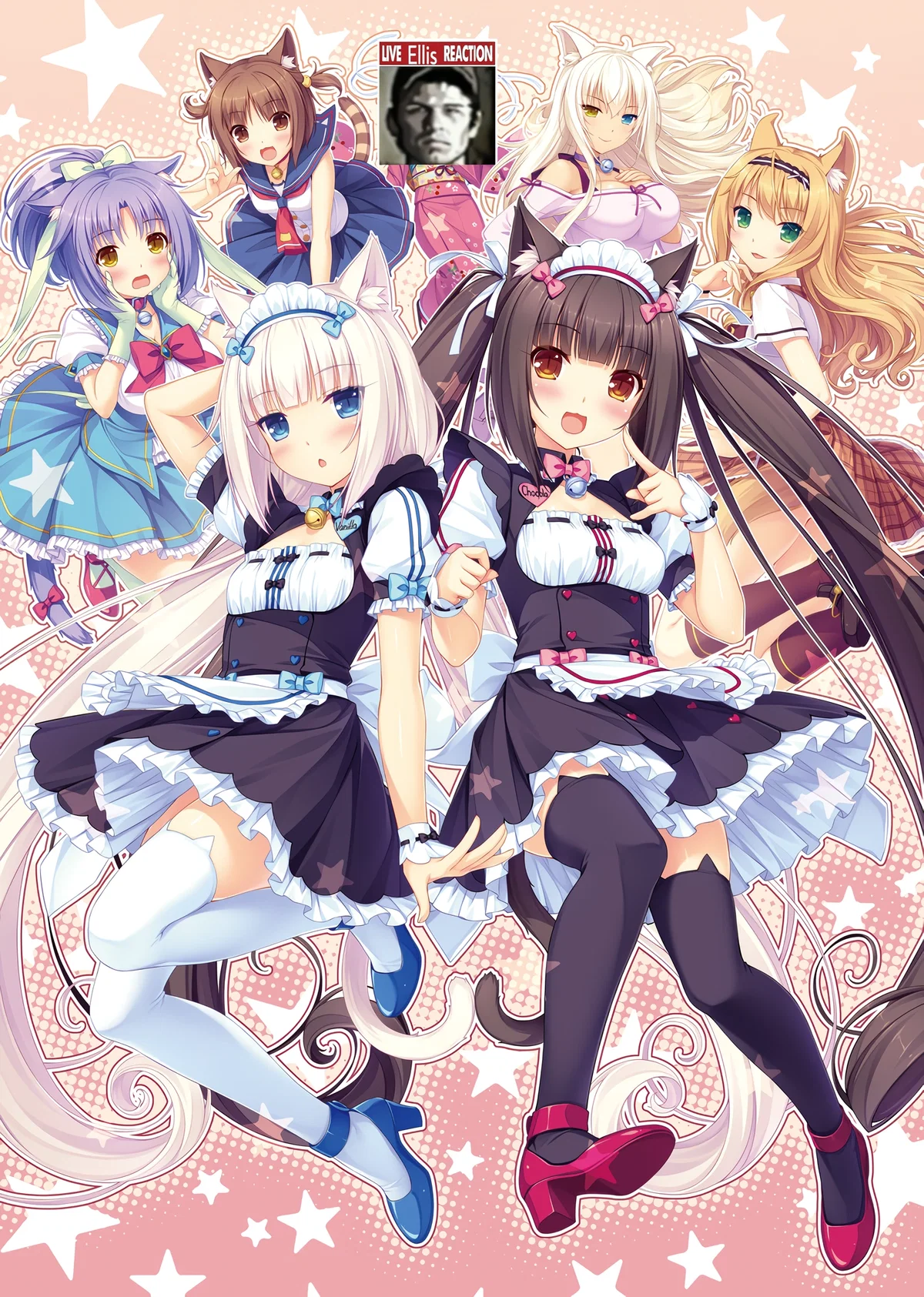 Nekopara Vol. 1 RPG (AU)