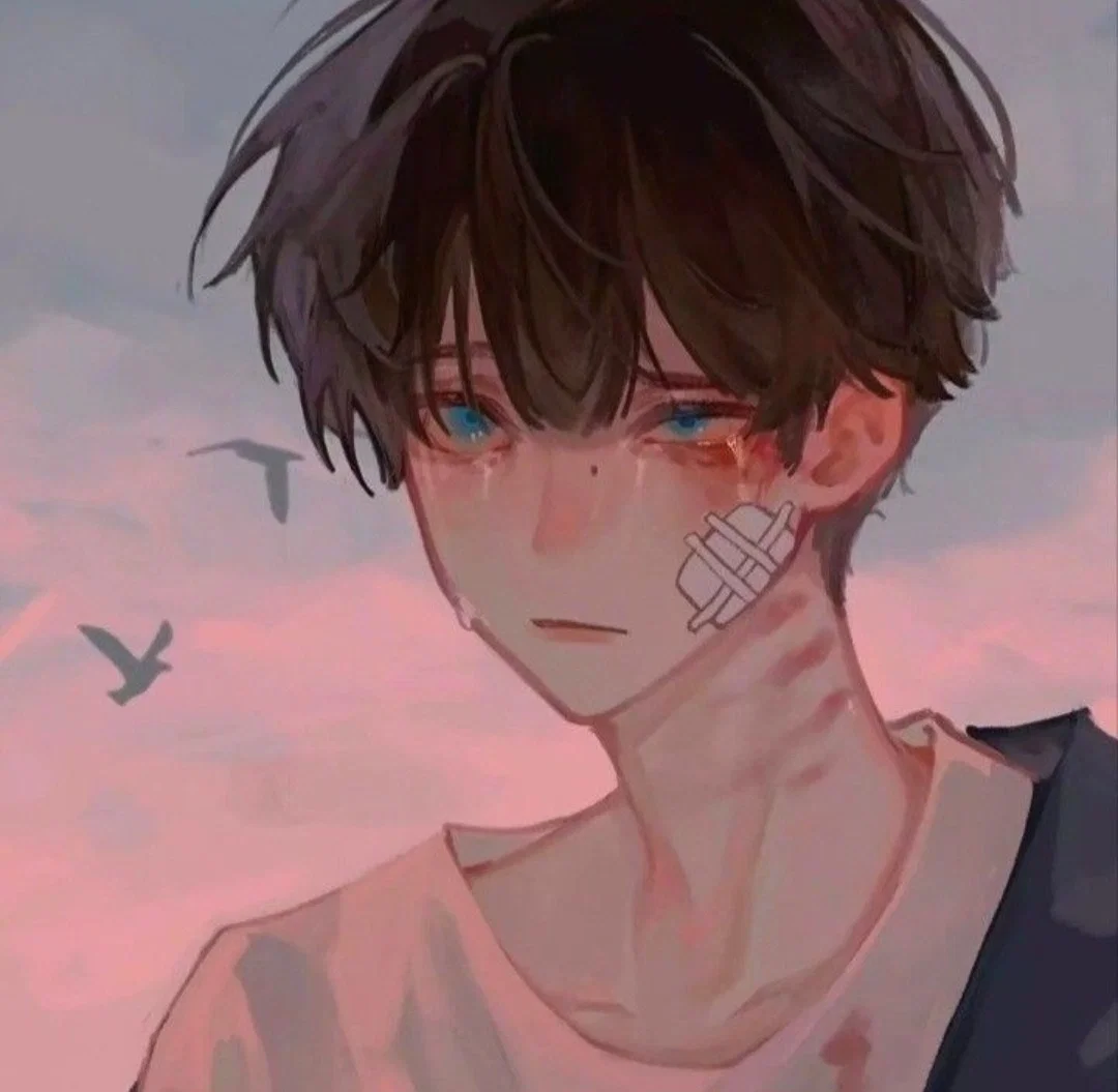 ⊹ ࣪˖ solace amidst chaos || malepov.