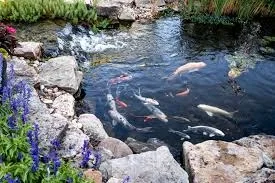 Fishing life