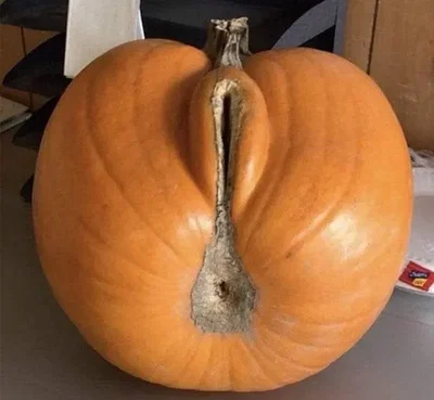 Pumpkin-Chan