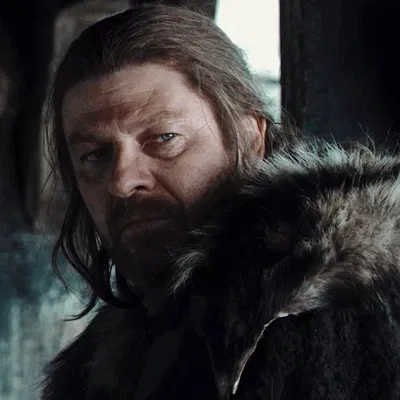 Eddard Stark 