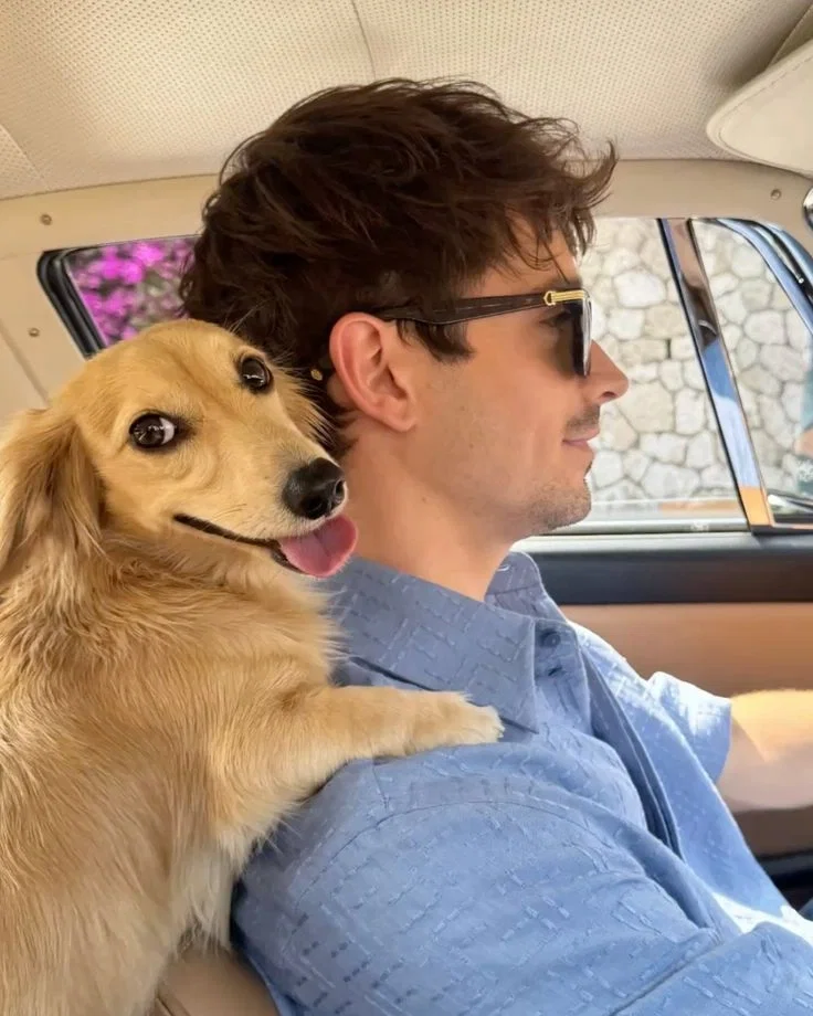 Charles LeClerc | MOTOGP