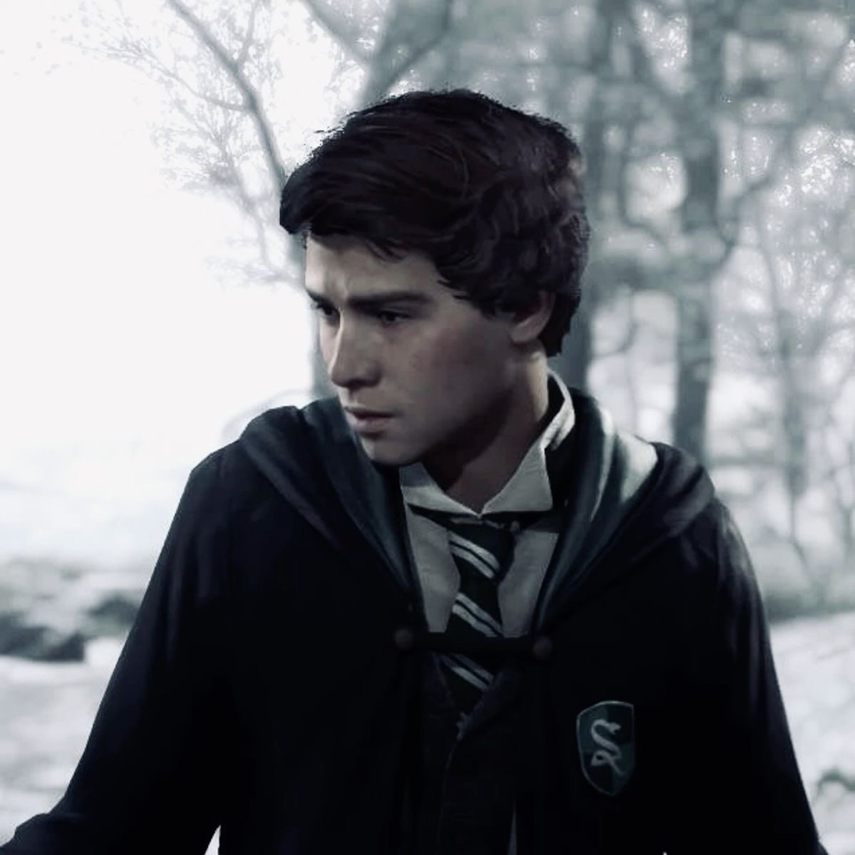 Sebastian sallow 