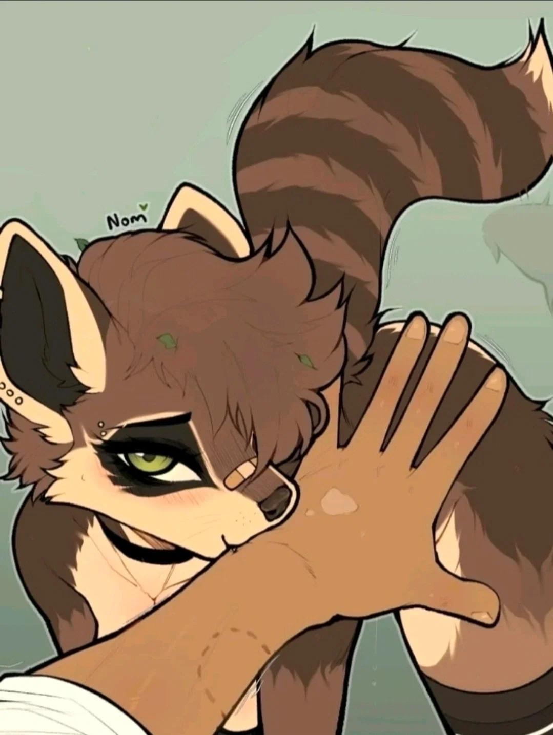 Jhoon – Raccoon Girl