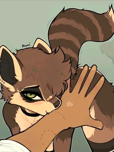 Jhoon – Raccoon Girl