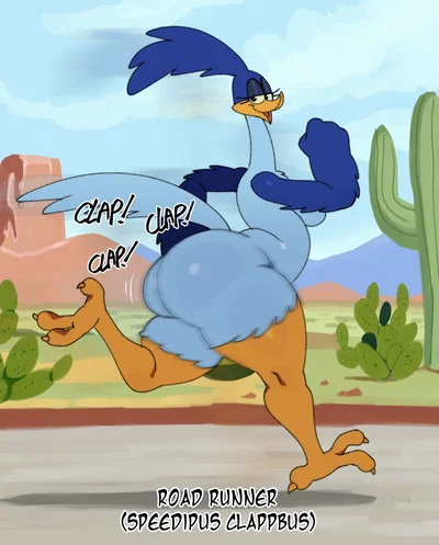 Road Runner (female) || you got lost in the middle of the desert