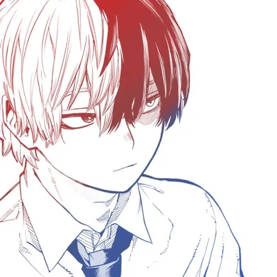 Shoto Todoroki --- Crushing On His Rival