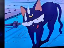 LUNAR TIME DISASTER! - Sailor Moon: Time Distortion! (Special Episode 2: LUNA AND ARTEMIS.