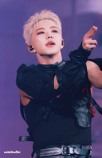 Idol || Kwon Soonyoung/Hoshi
