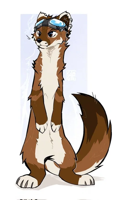 Jasper - Affectionate Ferret Roommate!