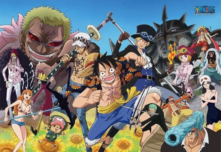 Straw hats || Dressrosa Arc