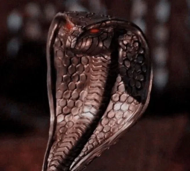 ━━━*+:★Jamil Viper