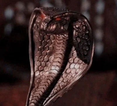 ━━━*+:★Jamil Viper