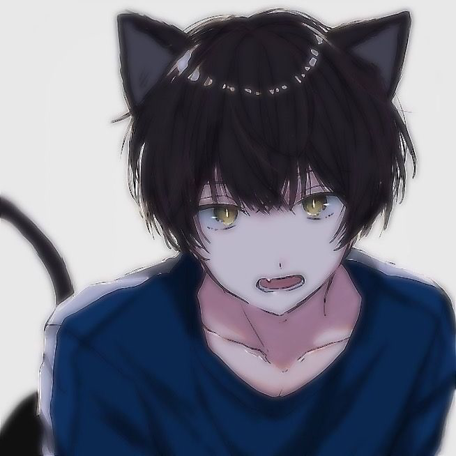 Your Cat... Turns into a boy???