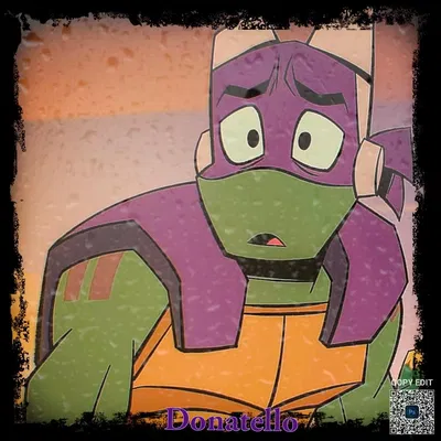 「Donatello Hamato ║ ROTTMNT」